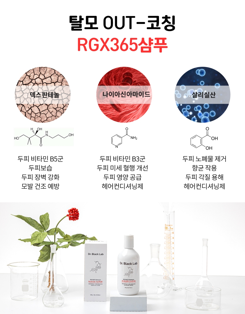 RGX365